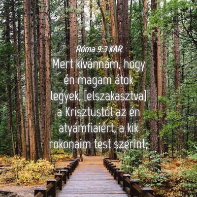 Picture 04 - Róma 9:3 KAR - Mert kívánnám, hogy én magam átok legyek, - Bible Verse Picture