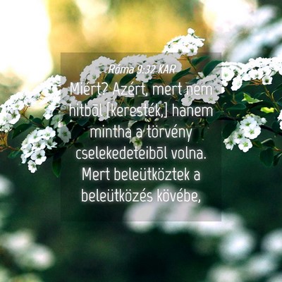 Picture 04 - Róma 9:32 KAR - Miért? Azért, mert nem hitbõl [keresték,] - Bible Verse Picture