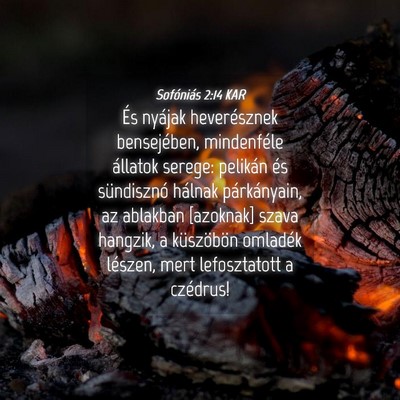 Picture 04 - Sofóniás 2:14 KAR - És nyájak heverésznek bensejében, mindenféle - Bible Verse Picture