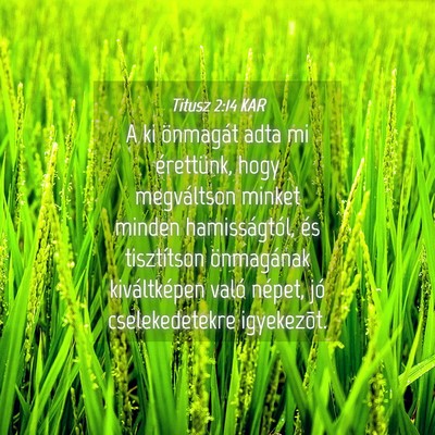 Picture 04 - Titusz 2:14 KAR - A ki önmagát adta mi érettünk, hogy - Bible Verse Picture