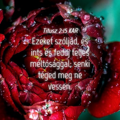 Picture 04 - Titusz 2:15 KAR - Ezeket szóljad, és ints és feddj teljes - Bible Verse Picture