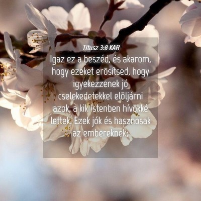 Picture 04 - Titusz 3:8 KAR - Igaz ez a beszéd, és akarom, hogy ezeket - Bible Verse Picture