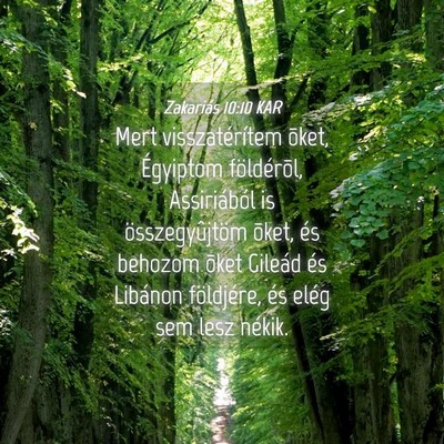 Picture 04 - Zakariás 10:10 KAR - Mert visszatérítem õket, Égyiptom - Bible Verse Picture