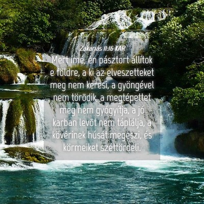 Picture 04 - Zakariás 11:16 KAR - Mert ímé, én pásztort állítok e földre, a - Bible Verse Picture