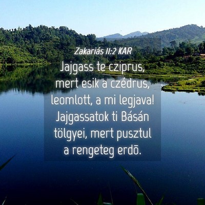 Picture 04 - Zakariás 11:2 KAR - Jajgass te cziprus, mert esik a czédrus, - Bible Verse Picture