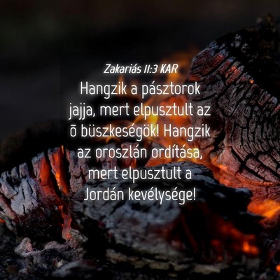 Picture 04 - Zakariás 11:3 KAR - Hangzik a pásztorok jajja, mert elpusztult az õ - Bible Verse Picture