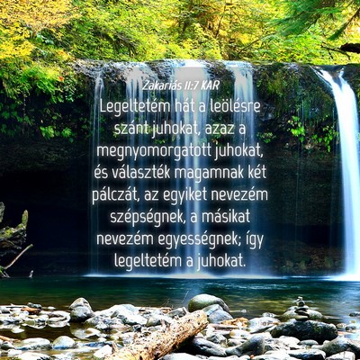 Picture 04 - Zakariás 11:7 KAR - Legeltetém hát a leölésre szánt juhokat, - Bible Verse Picture