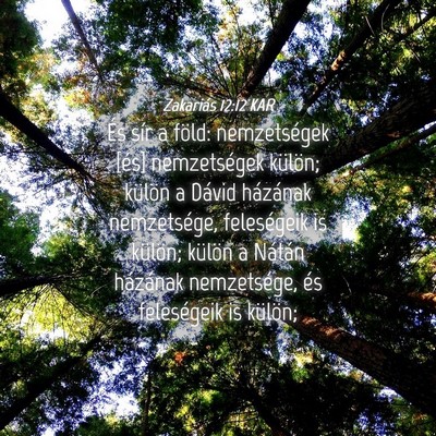 Picture 04 - Zakariás 12:12 KAR - És sír a föld: nemzetségek [és] nemzetségek - Bible Verse Picture