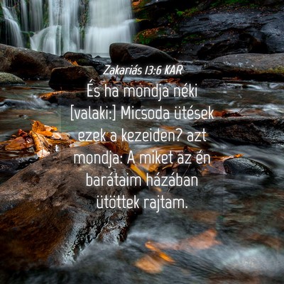 Picture 04 - Zakariás 13:6 KAR - És ha mondja néki [valaki:] Micsoda ütések - Bible Verse Picture
