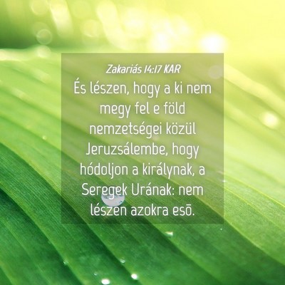 Picture 04 - Zakariás 14:17 KAR - És lészen, hogy a ki nem megy fel e föld - Bible Verse Picture