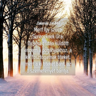 Picture 04 - Zakariás 2:8 KAR - Mert így szól a Seregeknek Ura: Dicsõség - Bible Verse Picture