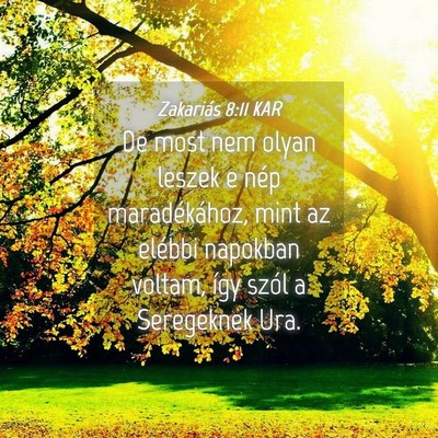 Picture 04 - Zakariás 8:11 KAR - De most nem olyan leszek e nép maradékához, - Bible Verse Picture