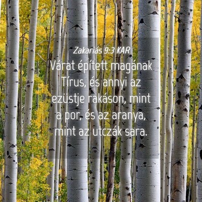 Picture 04 - Zakariás 9:3 KAR - Várat épített magának Tírus, és annyi az - Bible Verse Picture