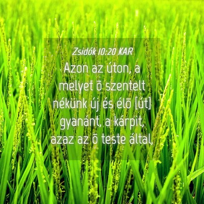 Picture 04 - Zsidók 10:20 KAR - Azon az úton, a melyet õ szentelt nékünk új - Bible Verse Picture