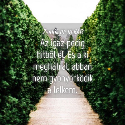 Picture 04 - Zsidók 10:38 KAR - Az igaz pedig hitbõl él. És a ki meghátrál, - Bible Verse Picture