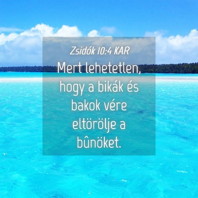 Picture 04 - Zsidók 10:4 KAR - Mert lehetetlen, hogy a bikák és bakok vére - Bible Verse Picture