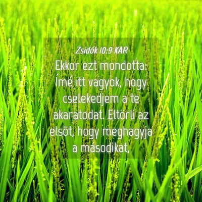Picture 04 - Zsidók 10:9 KAR - Ekkor ezt mondotta: Ímé itt vagyok, hogy - Bible Verse Picture