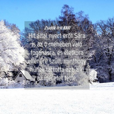 Picture 04 - Zsidók 11:11 KAR - Hit által nyert erõt Sára is az õ méhében - Bible Verse Picture