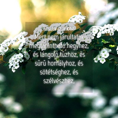 Picture 04 - Zsidók 12:18 KAR - Mert nem járultatok megtapintható hegyhez, és - Bible Verse Picture