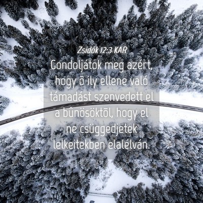 Picture 04 - Zsidók 12:3 KAR - Gondoljátok meg azért, hogy õ ily ellene való - Bible Verse Picture