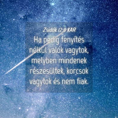Picture 04 - Zsidók 12:8 KAR - Ha pedig fenyítés nélkül valók vagytok, - Bible Verse Picture