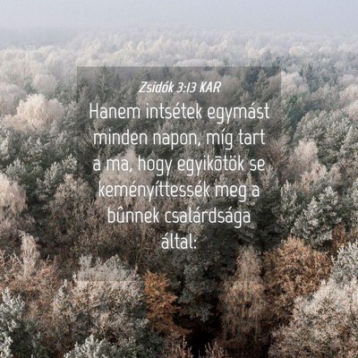 Picture 04 - Zsidók 3:13 KAR - Hanem intsétek egymást minden napon, míg tart - Bible Verse Picture