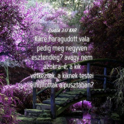 Picture 04 - Zsidók 3:17 KAR - Kikre haragudott vala pedig meg negyven - Bible Verse Picture