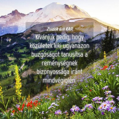 Picture 04 - Zsidók 6:11 KAR - Kívánjuk pedig, hogy közületek kiki ugyanazon - Bible Verse Picture
