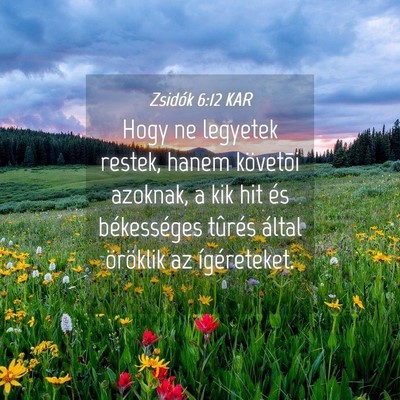 Picture 04 - Zsidók 6:12 KAR - Hogy ne legyetek restek, hanem követõi azoknak, - Bible Verse Picture