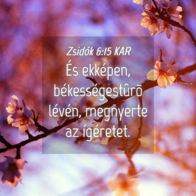 Picture 04 - Zsidók 6:15 KAR - És ekképen, békességestûrõ lévén, - Bible Verse Picture