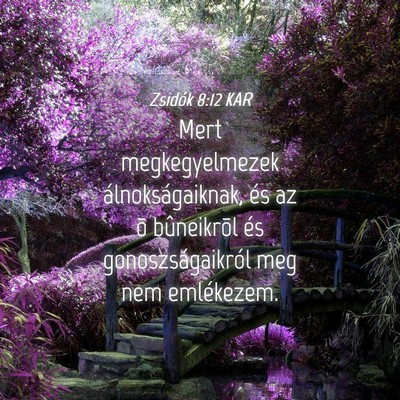 Picture 04 - Zsidók 8:12 KAR - Mert megkegyelmezek álnokságaiknak, és az õ - Bible Verse Picture
