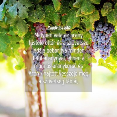 Picture 04 - Zsidók 9:4 KAR - Melyben vala az arany füstölõ oltár és a - Bible Verse Picture