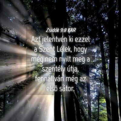Picture 04 - Zsidók 9:8 KAR - Azt jelentvén ki ezzel a Szent Lélek, hogy még - Bible Verse Picture