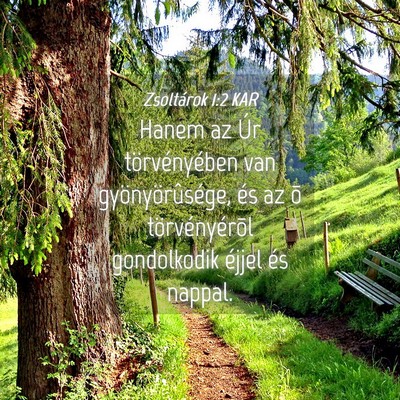 Picture 04 - Zsoltárok 1:2 KAR - Hanem az Úr törvényében van gyönyörûsége, - Bible Verse Picture