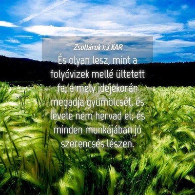 Picture 04 - Zsoltárok 1:3 KAR - És olyan lesz, mint a folyóvizek mellé - Bible Verse Picture