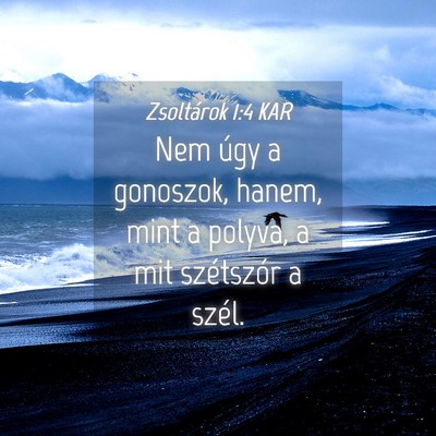 Picture 04 - Zsoltárok 1:4 KAR - Nem úgy a gonoszok, hanem, mint a polyva, a mit - Bible Verse Picture