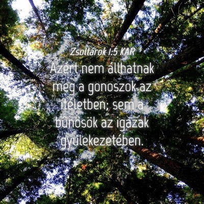 Picture 04 - Zsoltárok 1:5 KAR - Azért nem állhatnak meg a gonoszok az - Bible Verse Picture