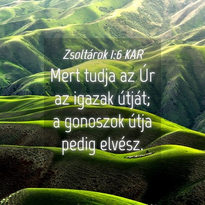 Picture 04 - Zsoltárok 1:6 KAR - Mert tudja az Úr az igazak útját; a gonoszok - Bible Verse Picture