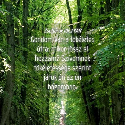 Picture 04 - Zsoltárok 101:2 KAR - Gondom van a tökéletes útra: mikor jössz el - Bible Verse Picture