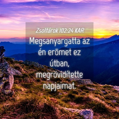 Picture 04 - Zsoltárok 102:24 KAR - Megsanyargatta az én erõmet ez útban, - Bible Verse Picture