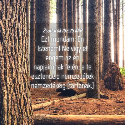 Picture 04 - Zsoltárok 102:25 KAR - Ezt mondám: Én Istenem! Ne vígy el engem az - Bible Verse Picture