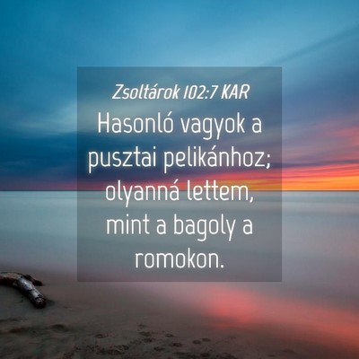 Picture 04 - Zsoltárok 102:7 KAR - Hasonló vagyok a pusztai pelikánhoz; olyanná - Bible Verse Picture