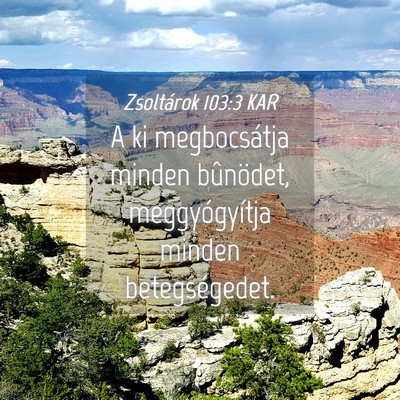 Picture 04 - Zsoltárok 103:3 KAR - A ki megbocsátja minden bûnödet, - Bible Verse Picture