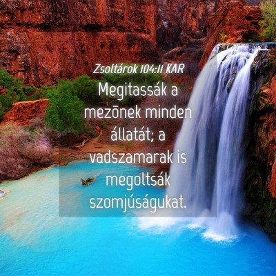 Picture 04 - Zsoltárok 104:11 KAR - Megitassák a mezõnek minden állatát; a - Bible Verse Picture