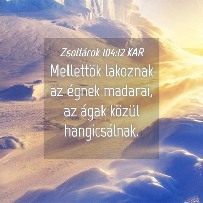 Picture 04 - Zsoltárok 104:12 KAR - Mellettök lakoznak az égnek madarai, az ágak - Bible Verse Picture