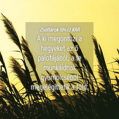 Picture 04 - Zsoltárok 104:13 KAR - A ki megöntözi a hegyeket az õ palotájából; - Bible Verse Picture