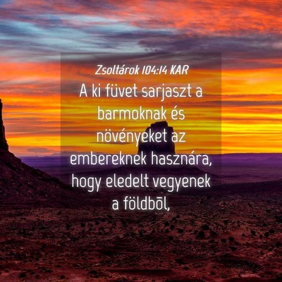 Picture 04 - Zsoltárok 104:14 KAR - A ki füvet sarjaszt a barmoknak és növényeket - Bible Verse Picture