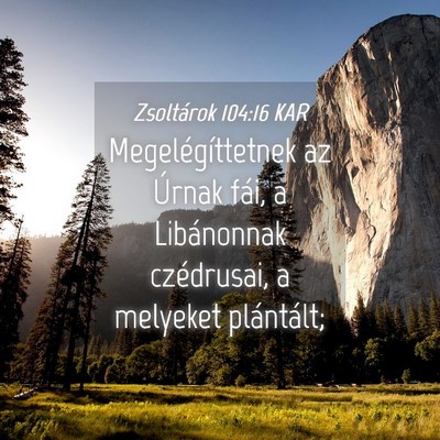 Picture 04 - Zsoltárok 104:16 KAR - Megelégíttetnek az Úrnak fái, a Libánonnak - Bible Verse Picture