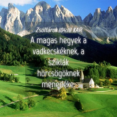 Picture 04 - Zsoltárok 104:18 KAR - A magas hegyek a vadkecskéknek, a sziklák - Bible Verse Picture