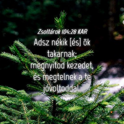 Picture 04 - Zsoltárok 104:28 KAR - Adsz nékik [és] õk takarnak; megnyitod - Bible Verse Picture